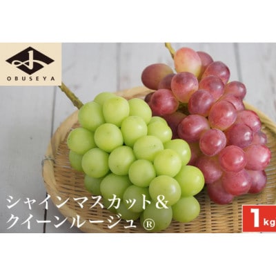 【2026年発送】シャインマスカット&クイーンルージュ 約1kg 各1房