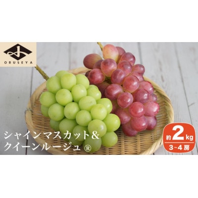 【2026年発送】シャインマスカット&クイーンルージュ_ 約2kg 3～4房