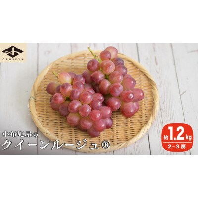 【2026年発送】クイーンルージュ_ 約1.2kg 2～3房[A-705]