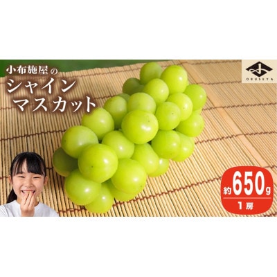 【2026年発送】シャインマスカット 約650g 1房
