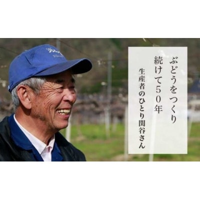 【2026年発送】シャインマスカット 約1.1kg 2房