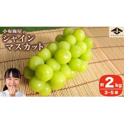 【2026年発送】シャインマスカット 約2kg 3～5房
