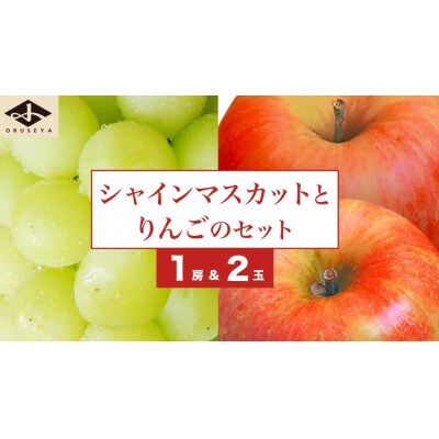 【2026年発送】シャインマスカット1房とりんご2玉 詰め合わせ