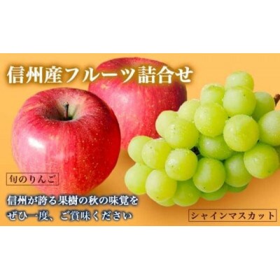 【2026年発送】シャインマスカット1房とりんご2玉 詰め合わせ