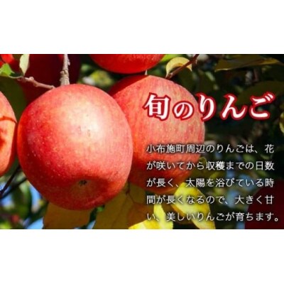 【2026年発送】シャインマスカット1房とりんご2玉 詰め合わせ