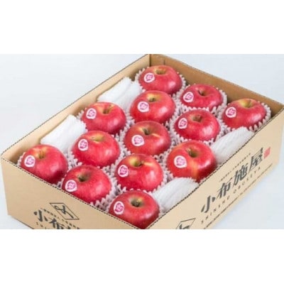 冬春が旬の希少なりんご ピンクレディー 約2.8kg 10～16玉
