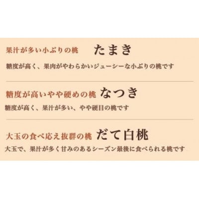 旬の白桃 約900g 2～4玉