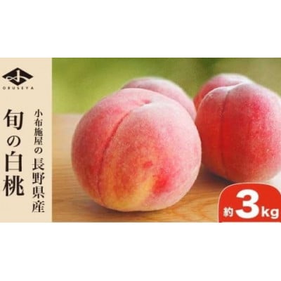 旬の白桃 約3kg 6～13玉