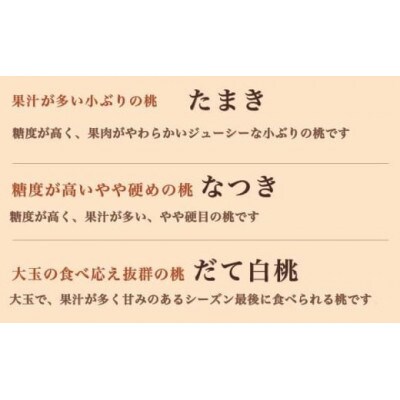 旬の白桃 約3kg 6～13玉