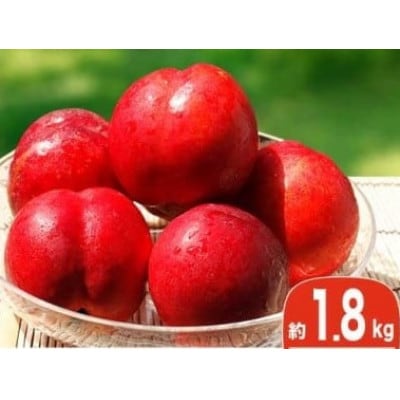 旬のネクタリン 約1.8kg 5～15玉