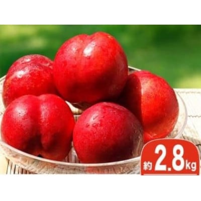 旬のネクタリン 約2.8kg 8～25玉