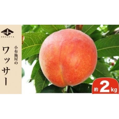 ワッサー 約2kg 4～9玉