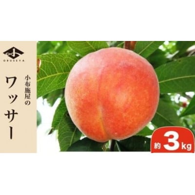 ワッサー 約3kg 6～14玉