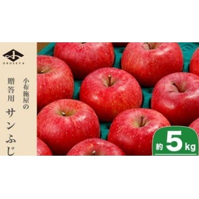 サンふじ 贈答用 約5kg 10～18玉