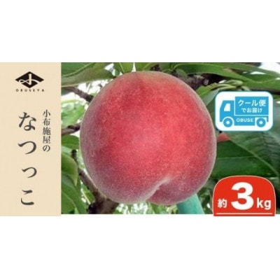 なつっこ(白桃) 約3kg 7～12玉