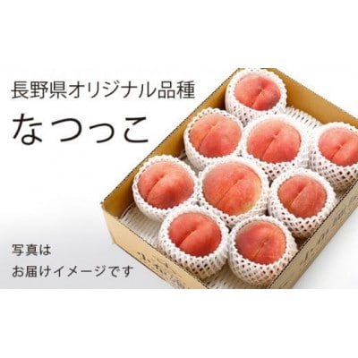 なつっこ(白桃) 約3kg 7～12玉