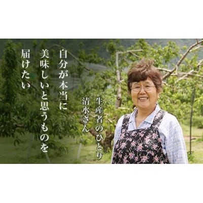 なつっこ(白桃) 約3kg 7～12玉