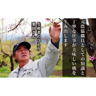 黄金桃 約3kg 7～12玉