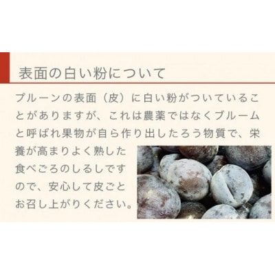 長野県産 旬のプルーン 約2kg