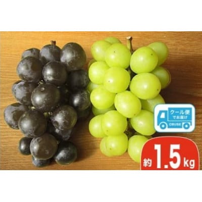 【訳あり】シャインマスカット&ナガノパープル 約1.5kg 3～5房