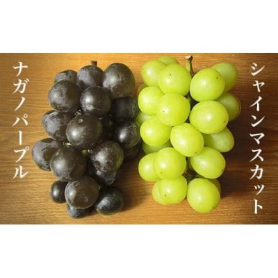 【訳あり】シャインマスカット&ナガノパープル 約1.5kg 3～5房