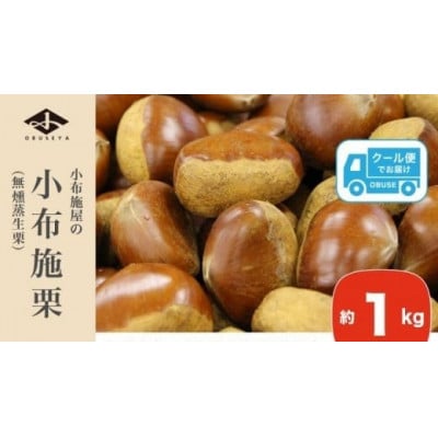 小布施栗(無燻蒸生栗) 約1kg