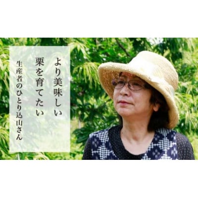 小布施栗(無燻蒸生栗) 約1kg