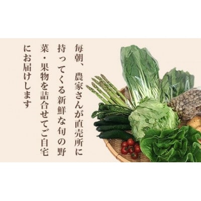 直売所から直送 旬の野菜・果物セット 6～10品