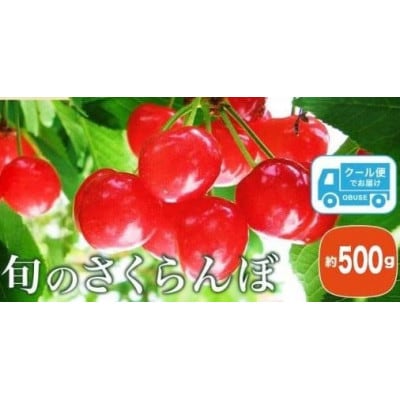 旬のさくらんぼ　約500g