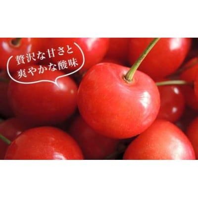 旬のさくらんぼ　約500g