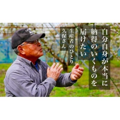 旬のさくらんぼ　約500g