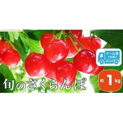 旬のさくらんぼ　約1kg