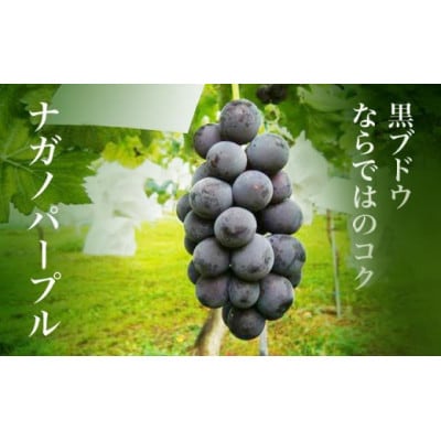 ナガノパープル 約1.3kg 2～3房