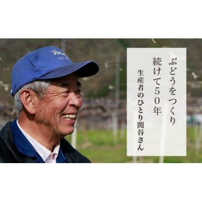 ナガノパープル 約1.3kg 2～3房
