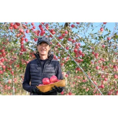 【訳あり】 サンふじ 約3kg 6～12玉