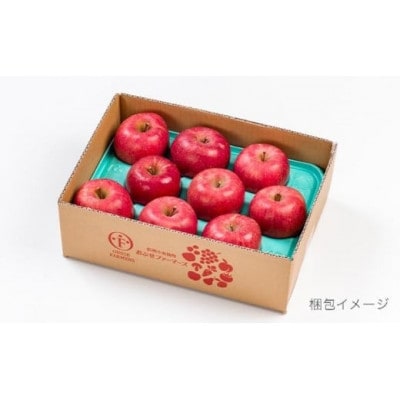 【訳あり】 サンふじ 約10kg 26～40玉