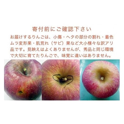 【訳あり】 サンふじ 約10kg 26～40玉