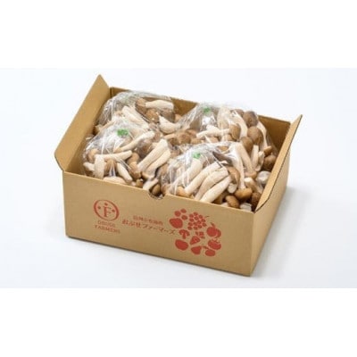 ぶなしめじ 300g × 4袋