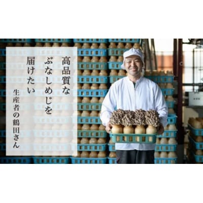 ぶなしめじ 300g × 6袋