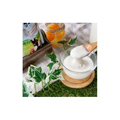 おおのミルク村 ゆめヨーグルト(プレーン・加糖)1kg 各2袋 食べ比べ