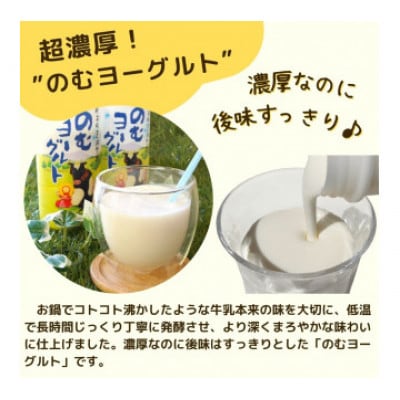 おおのミルク村 のむヨーグルト750ml×6本
