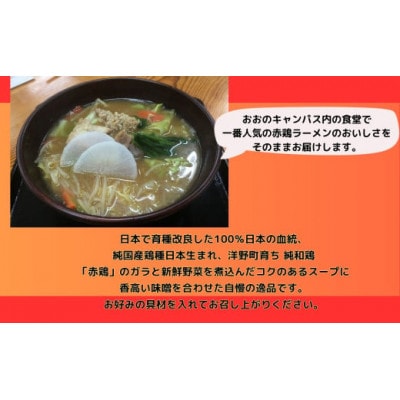 赤鶏ラーメン2食入×6袋セット