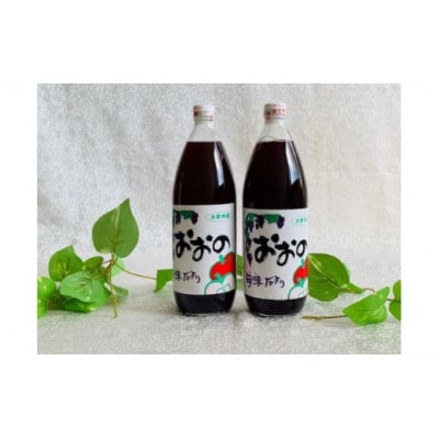 大野産やまぶどうジュース2本