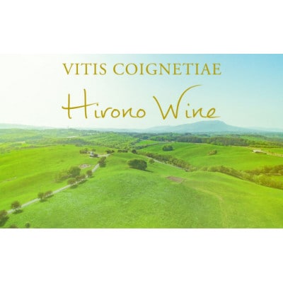 【2024年産】洋野山葡萄ワイン 720ml(甘口・辛口 2本セット)各1本