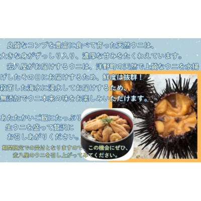 【令和8年発送】先行予約【水揚げしたその日に出荷】生うに 牛乳瓶入り 130g×2本