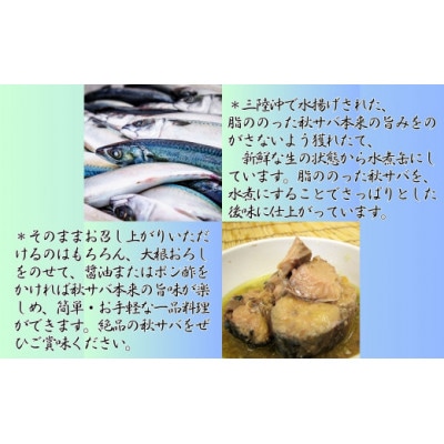 秋さばの水煮(185g)×4缶・うに缶(90g)×2缶