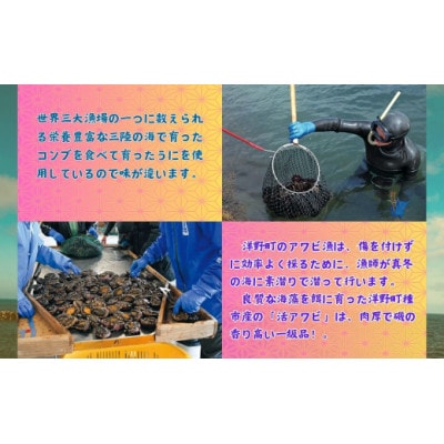 いちご煮缶(425g)　うに缶(90g)　各1缶