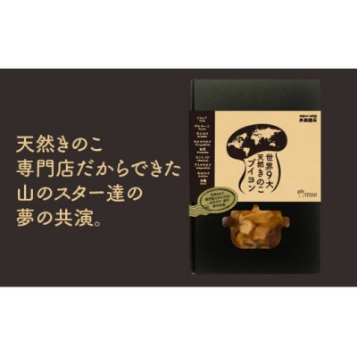 世界9大天然きのこブイヨン　1個