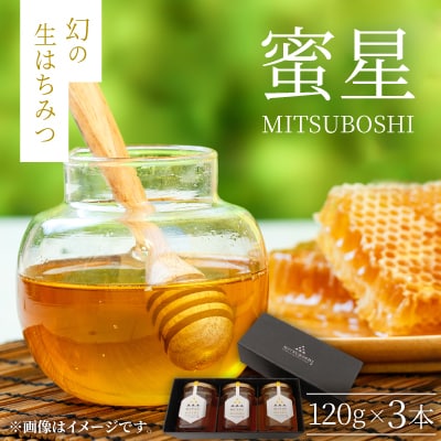 【蜜星】幻の生はちみつ(120g×3本)