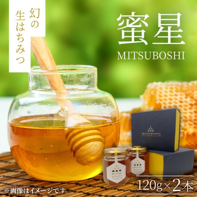 【蜜星】幻の生はちみつ(120g×2本)